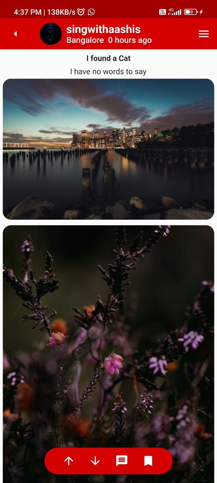 project_image